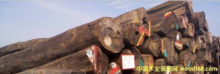 �M�� ��܇���棨ԭľ