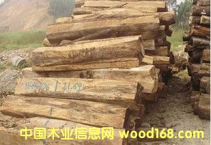 ���޻���ԭľ