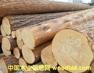 ���_˹������ԭľ