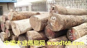 ���黨��ľԭľ����ڏ�1�����Ҿ�����tľ