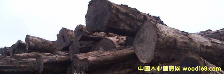 �M(j��n)�� ���� ���F�� ԭľ