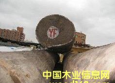 �M�� �t�Fľ ԭľ