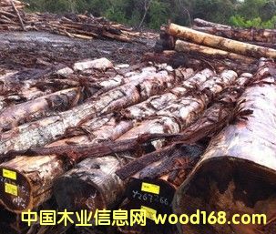 ���~��˼�R��(l��i)��˼ľ