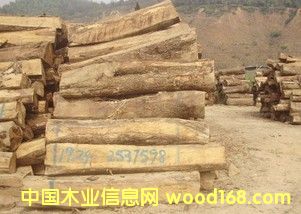 ������ ��(y��u)�|(zh��)���޻���