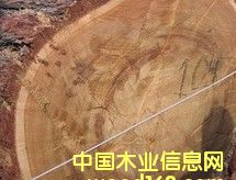 �|���t��