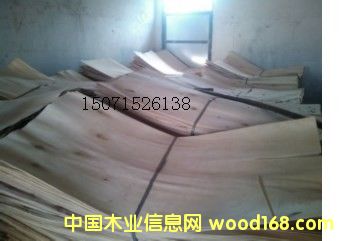 ��ľ��Ƥ��Ԕ����B