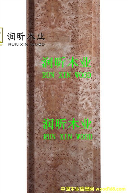 ����ľ��