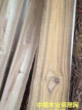 һ���M(j��n)������ľ��Ԕ��(x��)��B