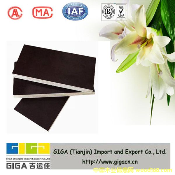 �c(di��n)���鿴��ˮ��Ŵ�DƬ