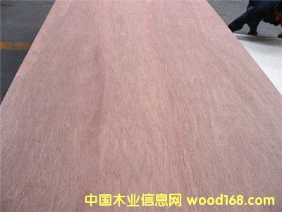 ����˹�t�sľ��Ԕ��(x��)��B