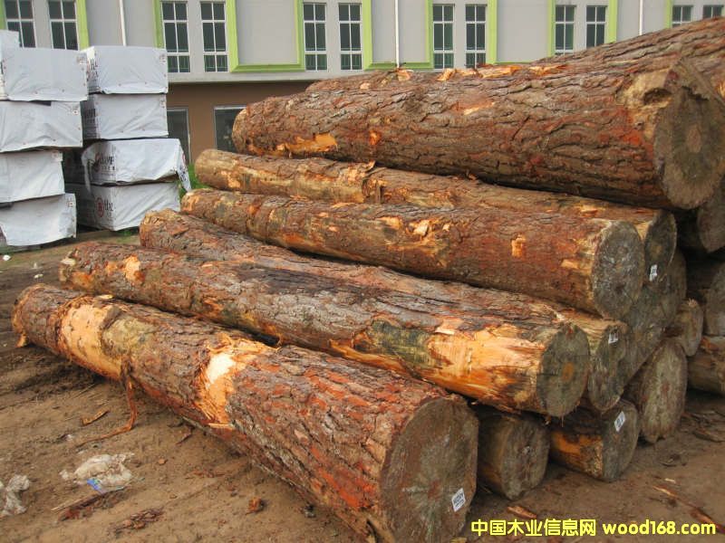 �Ϸ���ԭľ��Ԕ����B