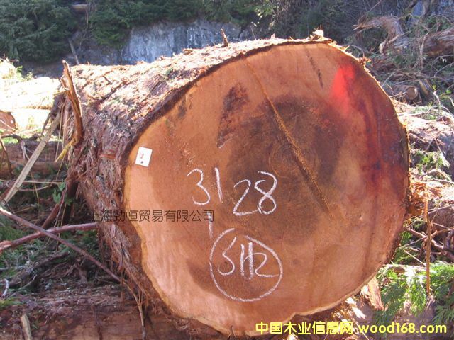 �tѩ�ɵ�Ԕ����B