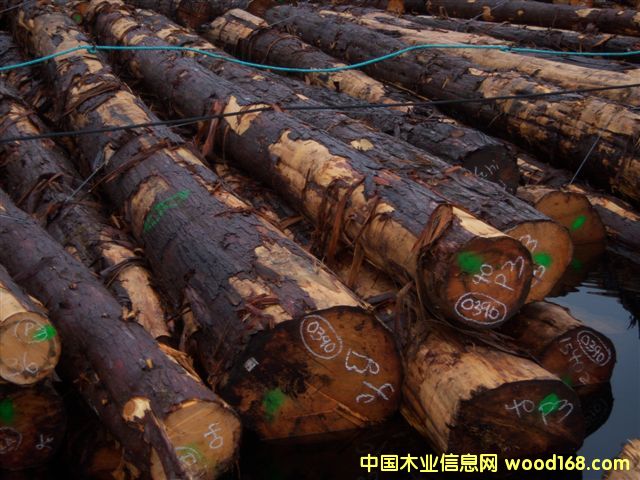 �Sѩ�ɵ�Ԕ����B