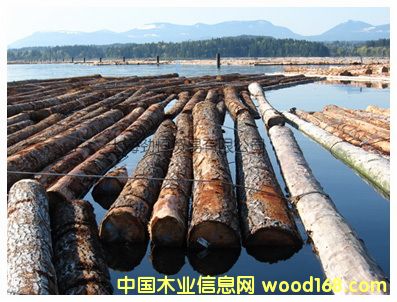 �����ɵ�Ԕ����B