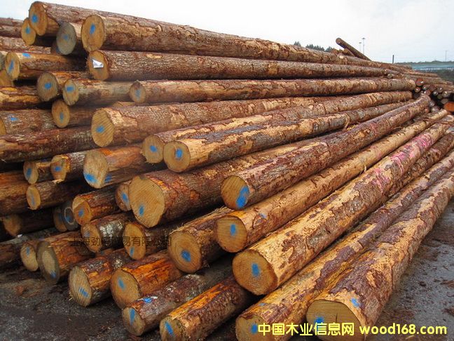 �Fɼ��Ԕ����B