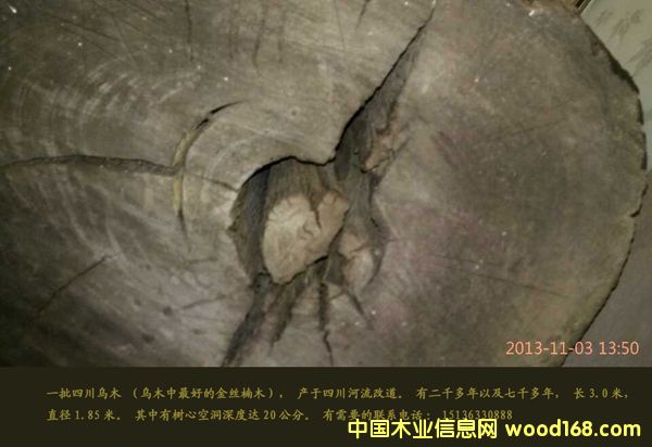 �c(di��n)���鿴��ľ��z�ľԭľ�Ŵ�DƬ