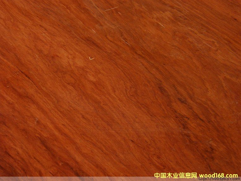 ��̖(h��o) 84-21��Ԕ��(x��)��B