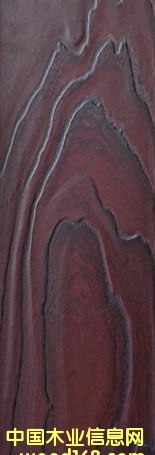 ɭ�����ذ��Ԕ����B