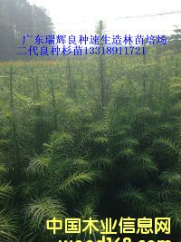 �c(di��n)���鿴����ɼ��Ŵ�DƬ