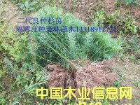 �c(di��n)���鿴���Nɼ��Ŵ�DƬ