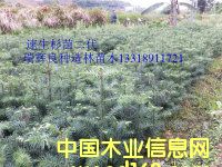 �c(di��n)���鿴���Nɼľһ����Ŵ�DƬ