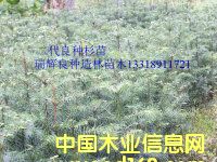 �c(di��n)���鿴�������N����ɼ��Ŵ�DƬ