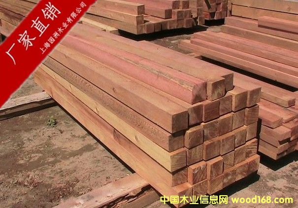 �tѩ�ɵ�Ԕ��(x��)��B