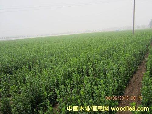 �������S��