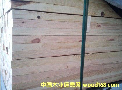 赤松的詳細(xì)介紹