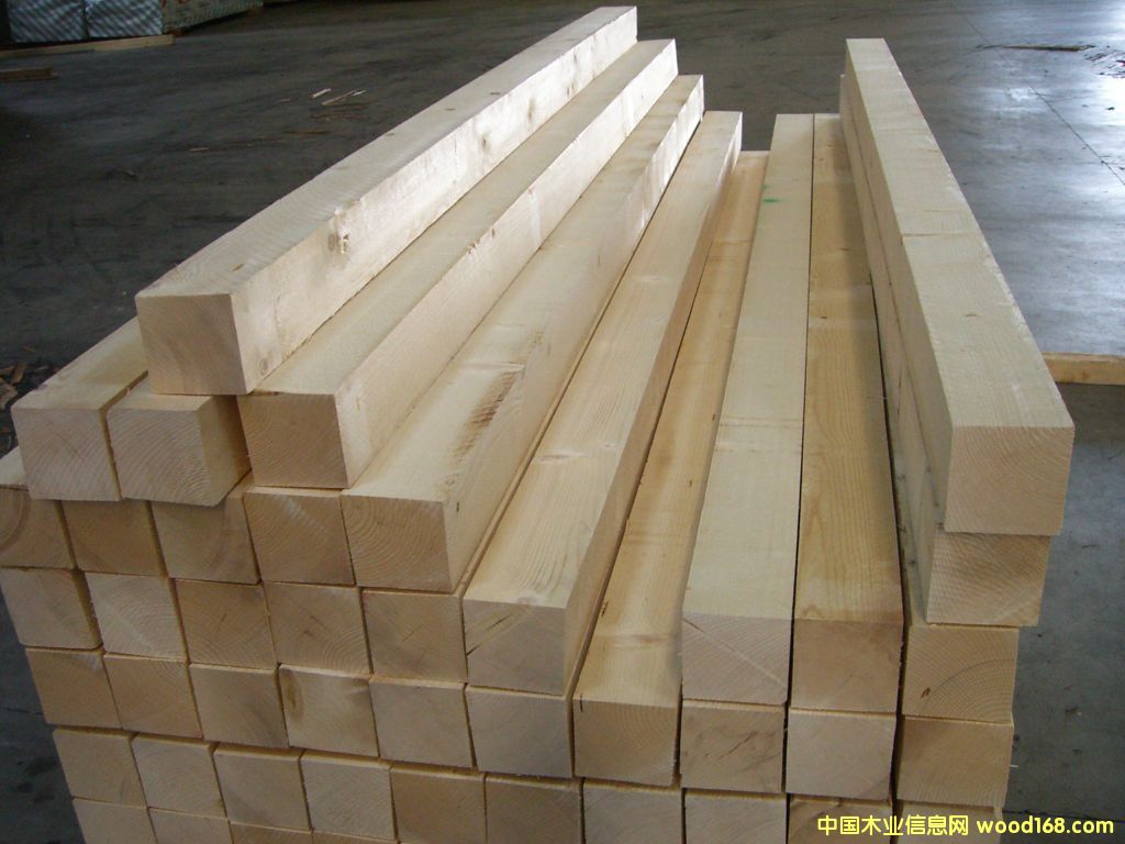 云杉的詳細(xì)介紹