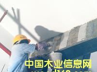 �c���鿴̼�w�S���Ŵ�DƬ