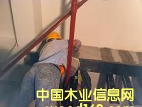 �c���鿴̼�w�S���Ŵ�DƬ