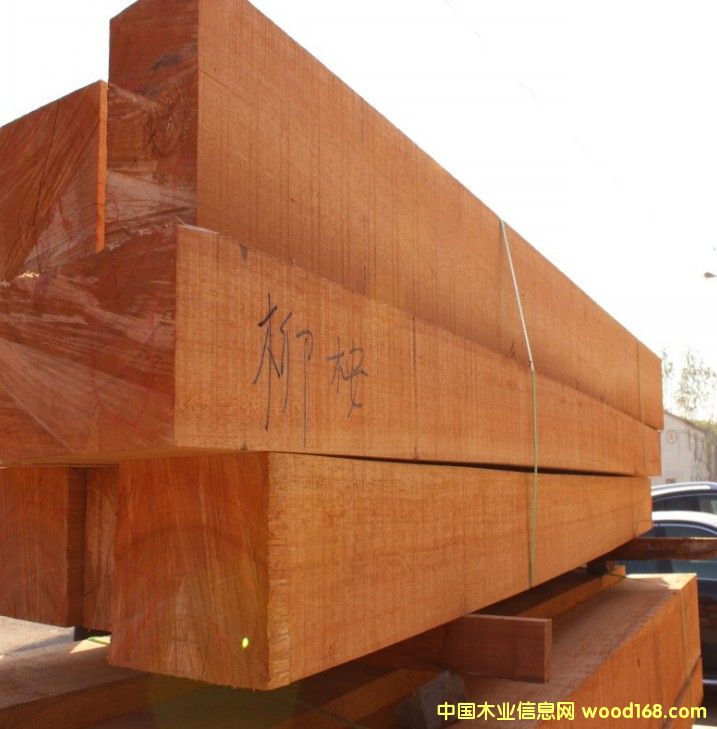 ����ľԭľ������ľ�S��