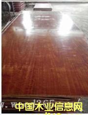 ģ���Ԕ��(x��)��B