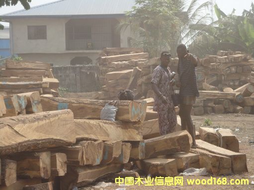 �����S�����Ԕ��(x��)��B