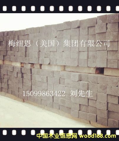 �M����ľ��Ԕ����B