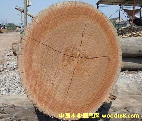 ����ԭľ��Ԕ����B