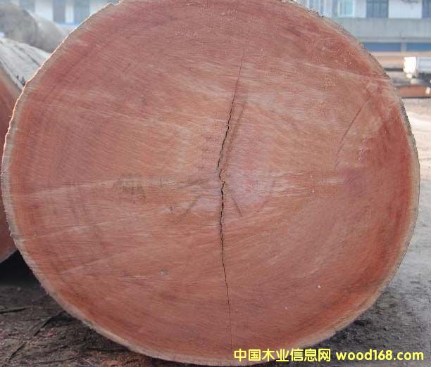 ɽ��ľԭľ��Ԕ����B