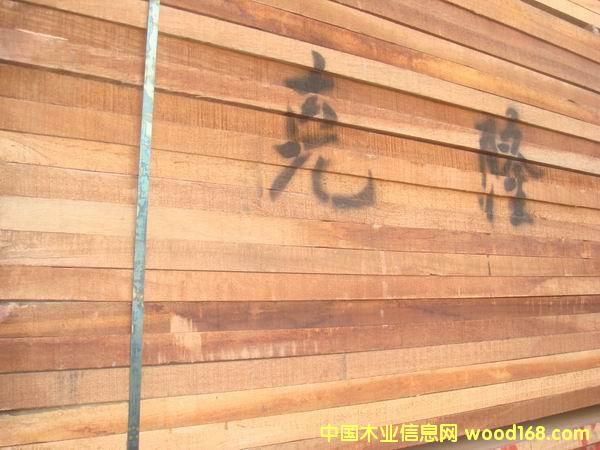 ��¡ľ�����X��