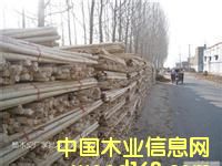 �c(di��n)���鿴ľƤľ�Së�^�Ŵ�DƬ