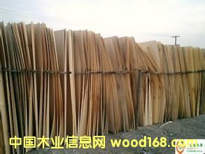 �c(di��n)���鿴ľƤľ�Së�^�Ŵ�DƬ