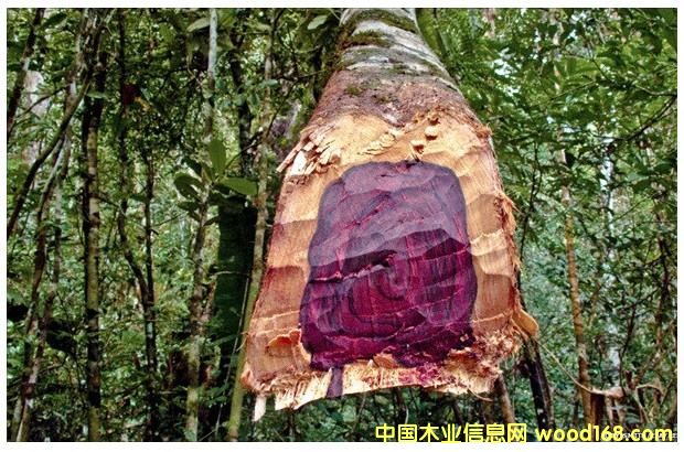 �c���鿴�S̴��ľ�Ŵ�DƬ