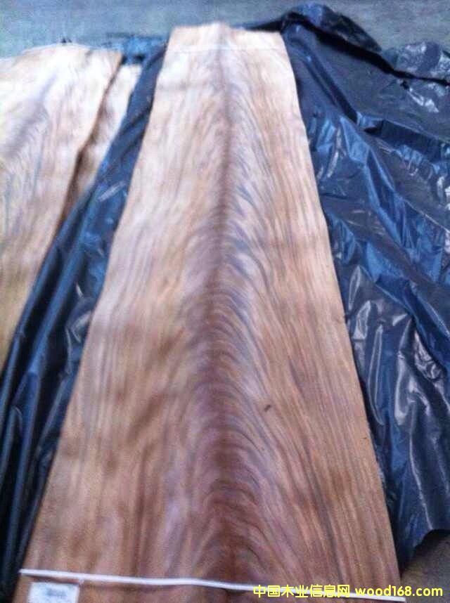 樹叉的詳細(xì)介紹