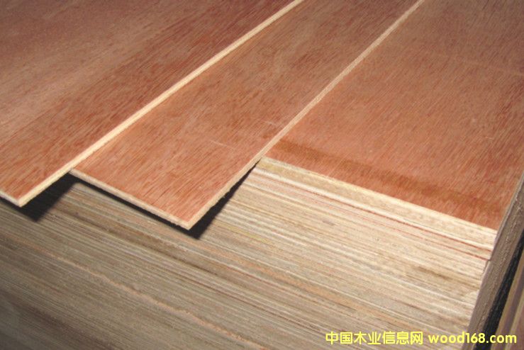 ��ľо���ǹ����z�ϰ��Ԕ��(x��)��B