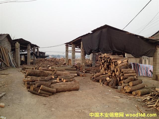 �sľ��Ԕ����B