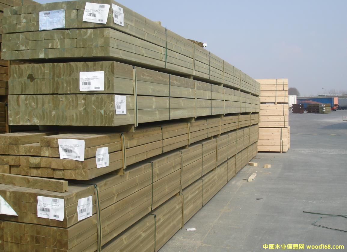 11.8�׳��L����ľ��Ԕ��(x��)��B