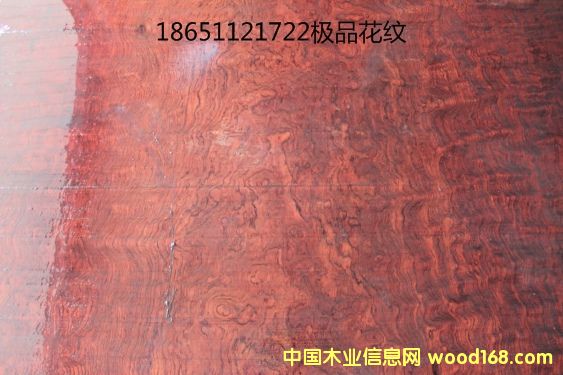 �������Ԕ��(x��)��B