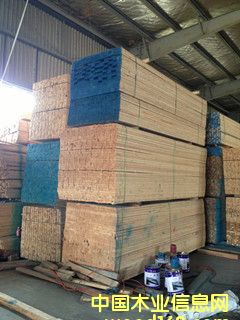 ���ɵ�����