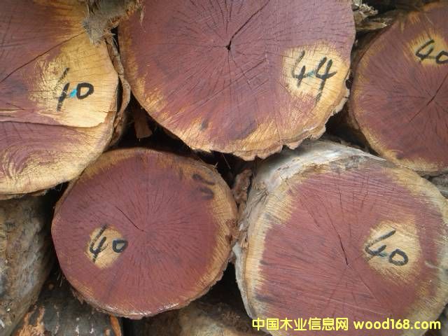 �t���Ԕ����B