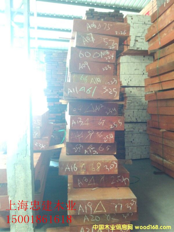 巴花大方 巴花大方